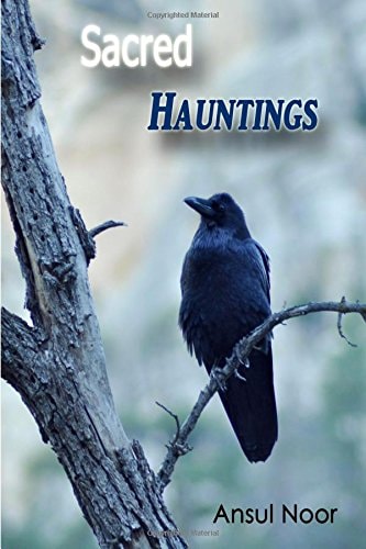 Sacred Hauntings A Book of Supernatural Poetry