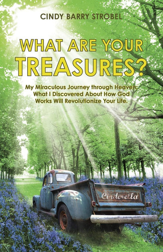 What Are Your Treasures? My Miraculous Journey Through Heaven: What I Discovered About How God Works Will Revolutionize Your Life.
