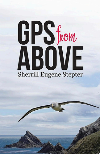 Gps from Above