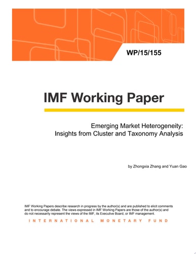 Emerging Market Heterogeneity Insights from Cluster and Taxonomy Analysis