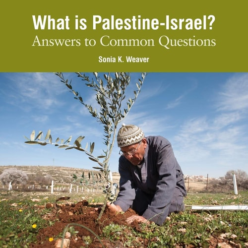 What is Palestine-Israel? Answers to Common Questions