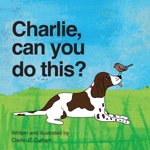 Charlie, Can You Do This?