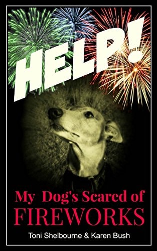 HELP! My Dog Is Scared of Fireworks