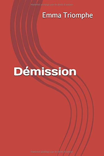 Démission Réponse à M. Houellebecq