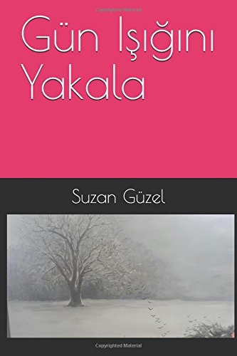 Gün Işığını Yakala