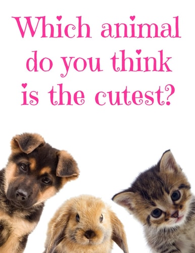 Which Animal Do You Think Is the Cutest?