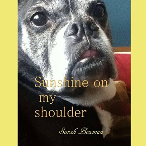 Sunshine on My Shoulder