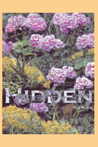 Hidden A Novel