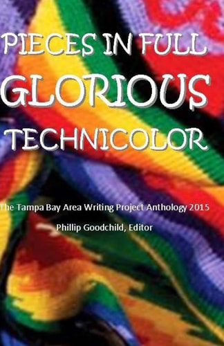 Pieces in Full Glorious Technicolor: The 2015 Tampa Bay Area Writing Project Anthology