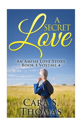 A Secret Love An Amish Love Story (Book 1)