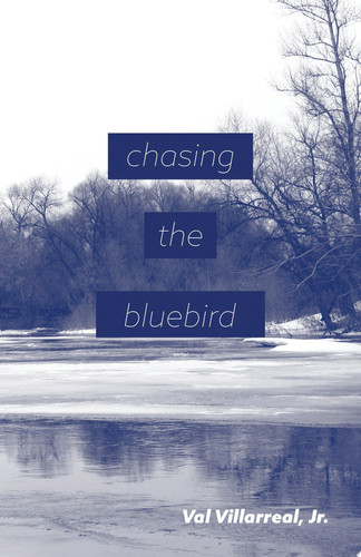 Chasing the Bluebird
