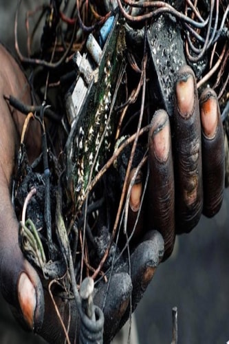Sustentabilidade Uma Revolução Comportamental
