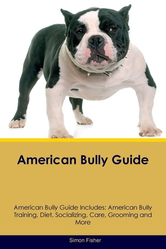 American Bully Guide