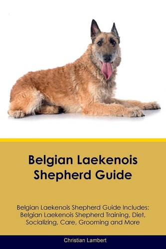 Belgian Laekenois Shepherd Guide