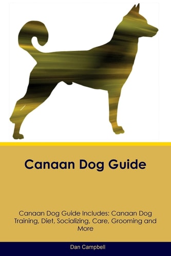 Canaan Dog Guide Canaan Dog Guide Includes: Canaan Dog Training, Diet, Socializing, Care, Grooming, Breeding and More