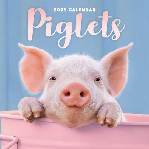 2024 Piglets Mini Wall Calendar