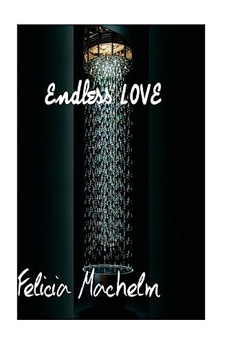 Endless Love Love Novel