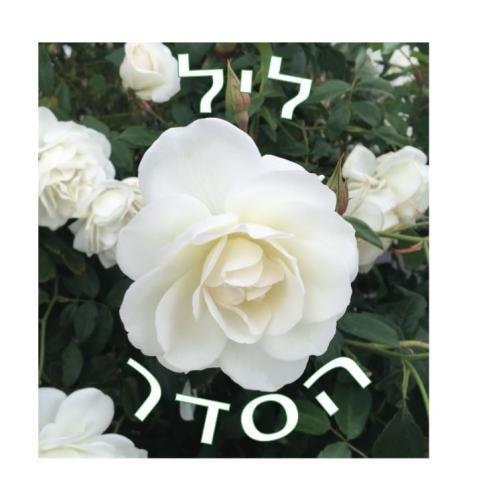 Leil HaSeder