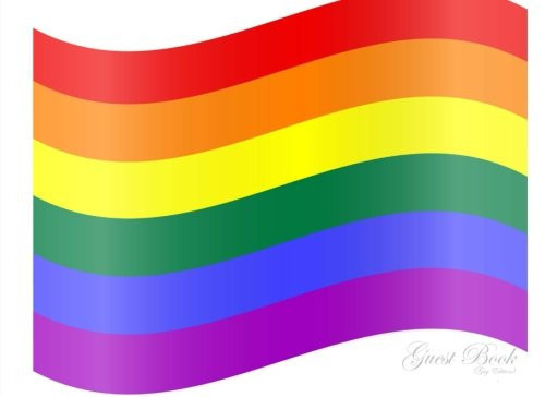 Guest Book Gay Edition: Classic (Lined Pages) Gay Guest Book Option - ON SALE NOW - JUST $6.99 (Gay Books)