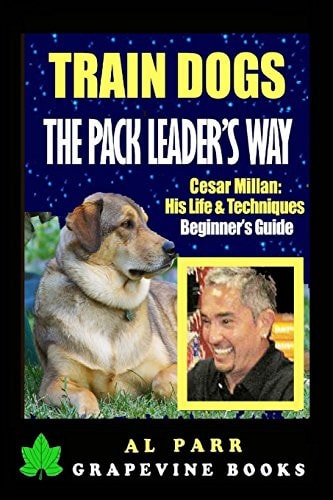 Train Dogs the Pack Leader's Way! Cesar Millan: His Life and Techniques Beginner's Guide
