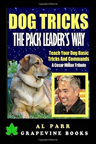 Dog Tricks the Pack Leader's Way! Teach Your Dog Basic Tricks and Commands! A Cesar Millan Tribute