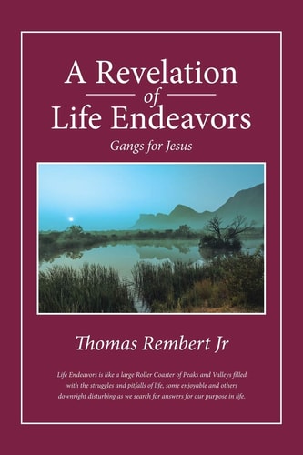 A Revelation of Life Endeavors Gangs for Jesus