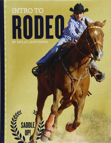 Intro to Rodeo