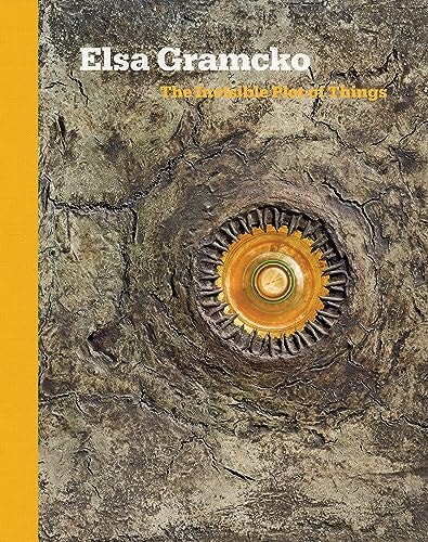 Elsa Gramcko The Invisible Plot of Things