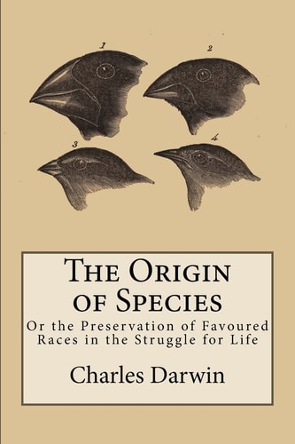Edition published by CreateSpace Independent Publishing Platform