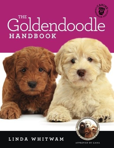 The Goldendoodle Handbook: The Essential Guide for New and Prospective Goldendoodle Owners