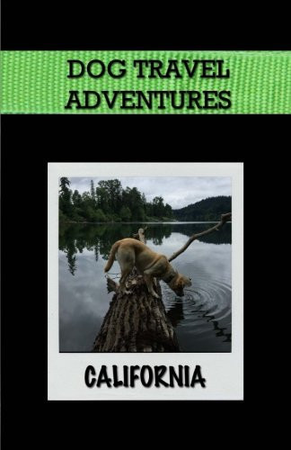 Dog Travel Adventures: California