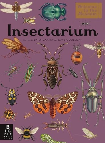 Insectarium Welcome to the Museum (an Illustrated Junior Entomology Guide to Wild Bug Species, Biodiversity, and Nature Conservation for Kids Ages 8-12)