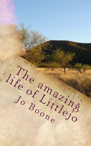 The Amazing Weird Life of Littlejo