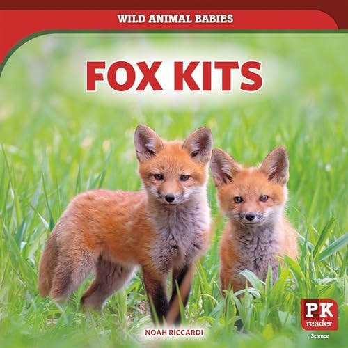 Fox Kits (Wild Animal Babies)