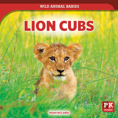 Lion Cubs (Wild Animal Babies)
