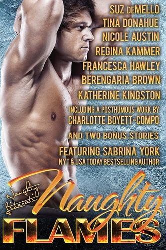 Naughty Flames Eleven Fiery Romances