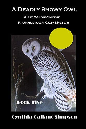 A Deadly Snowy Owl Book 5 The Deadly Provincetown Cozy Mystery Series