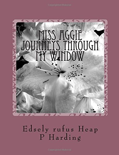 Miss Aggie Journeys Through My Window Journeys