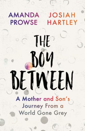 The Boy Between A Mother and Son's Journey from a World Gone Grey
