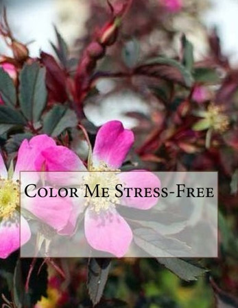 Color Me Stress-Free Adult Coloring Book