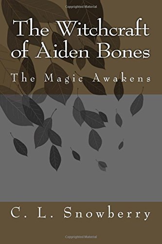 The Witchcraft of Aiden Bones The Magic Awakens