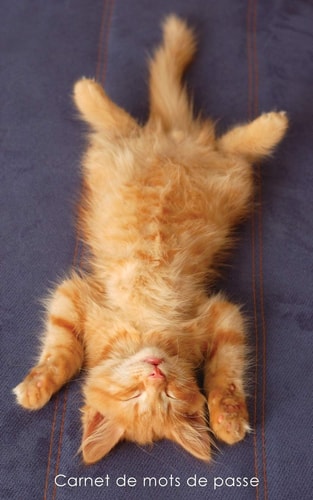 Carnet de Mots de Passe Journal d'adresses de Sites Web et de Mots de Passe - Couverture Avec un Chaton Caramel Qui Se Détend