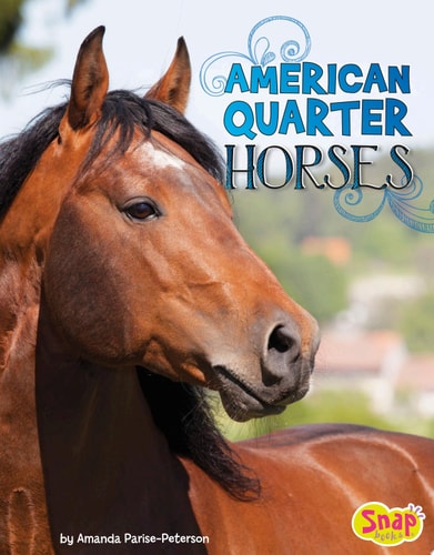 American Quarter Horses
