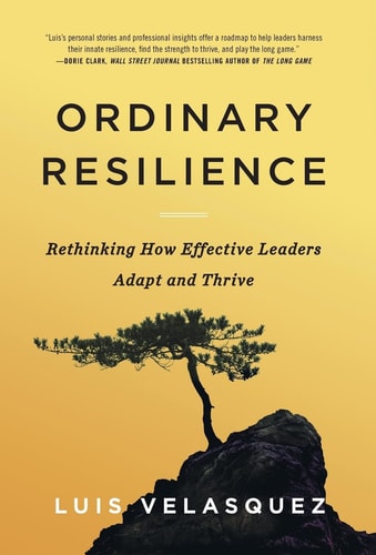Ordinary Resilience Rethinking How Effective Leaders Adapt and Thrive
