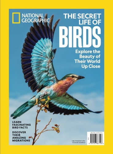The Secret Life of Birds Explorethe Beauty of Their World Up Close
