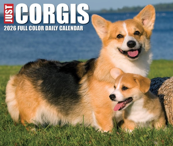 Corgis 2026 Box Calendar