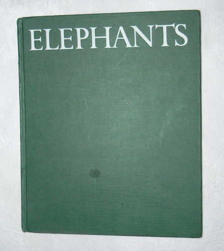 Elephants The Deciding Decade