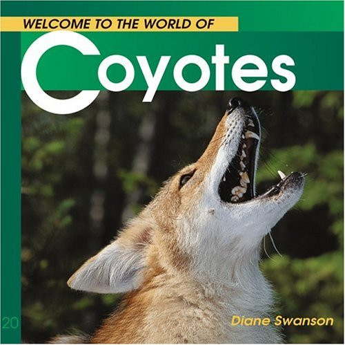 Welcome to the World of Coyotes