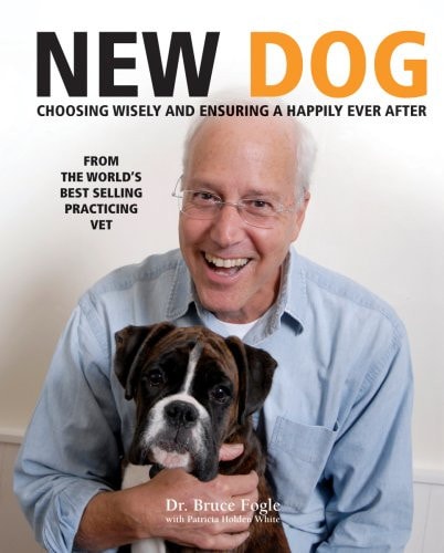 New Dog Choosing Wisely and Ensuring a Happily Ever After