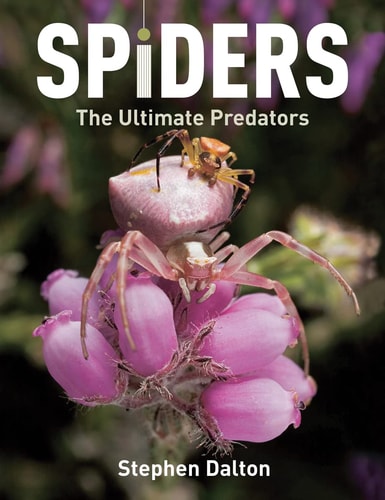 Spiders The Ultimate Predators